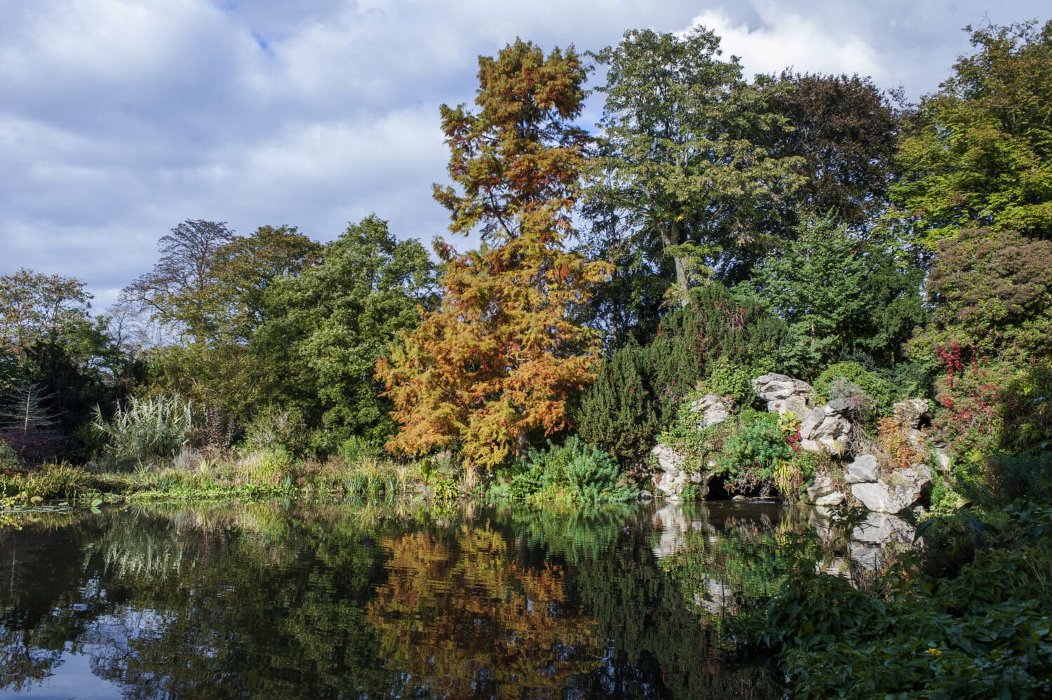 Jardin de Bagatelle