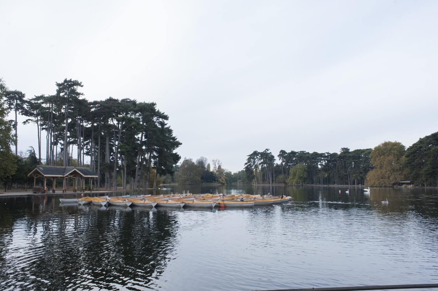 Bois de Boulogne